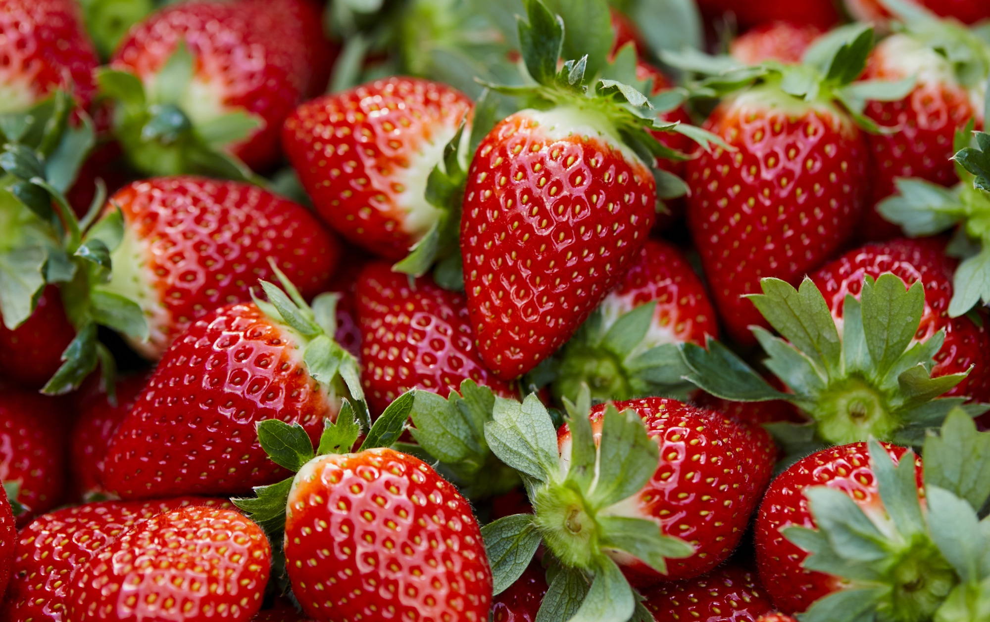 【松戸店】いちご食べ放題！？🍓