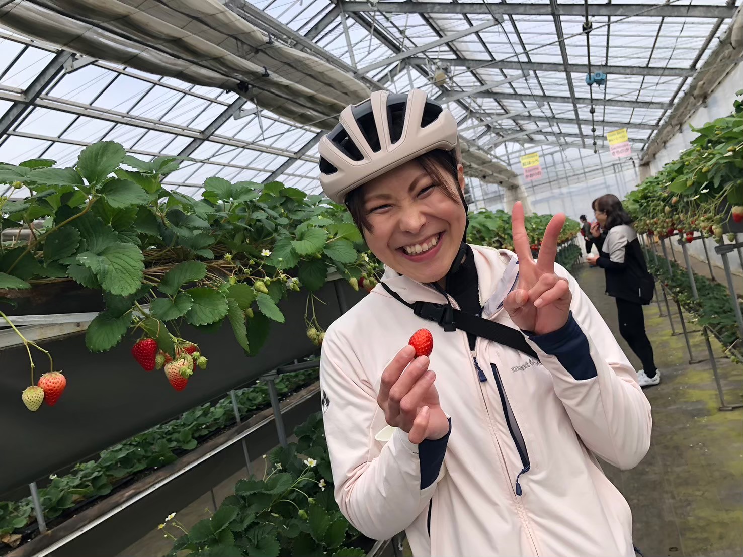 イチゴの季節はサイクリングと一緒に食そう!!