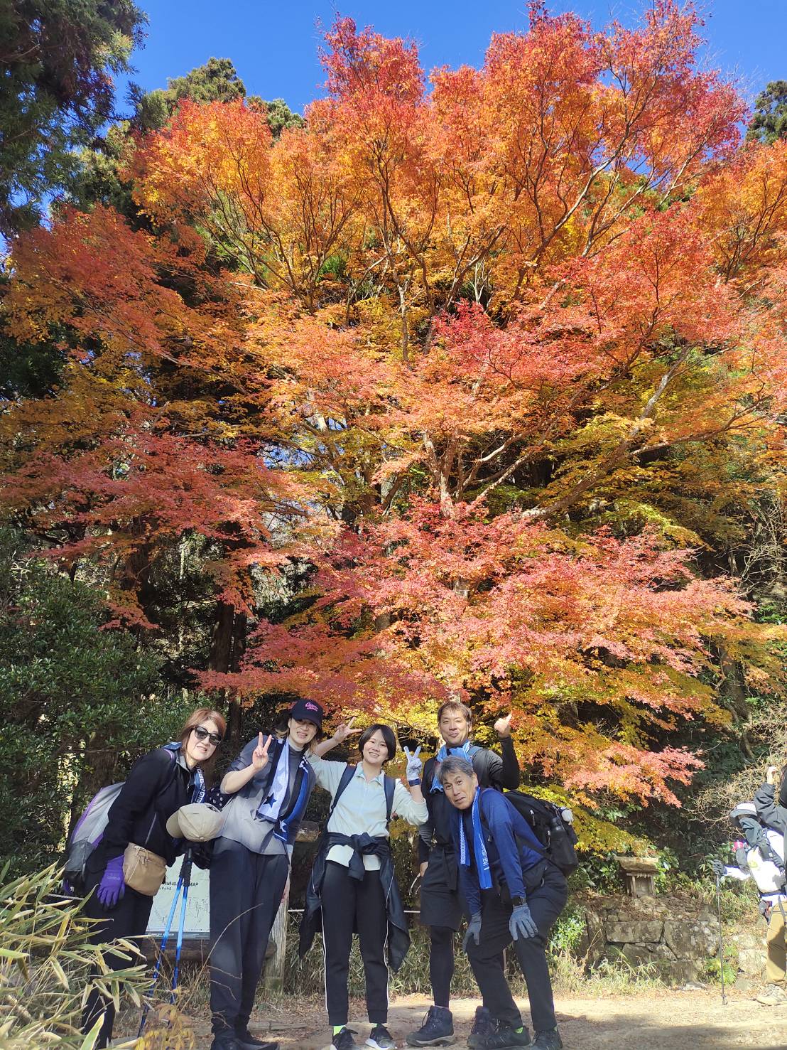 秋の筑波山　紅葉満喫登山ツアー2025/11/19
