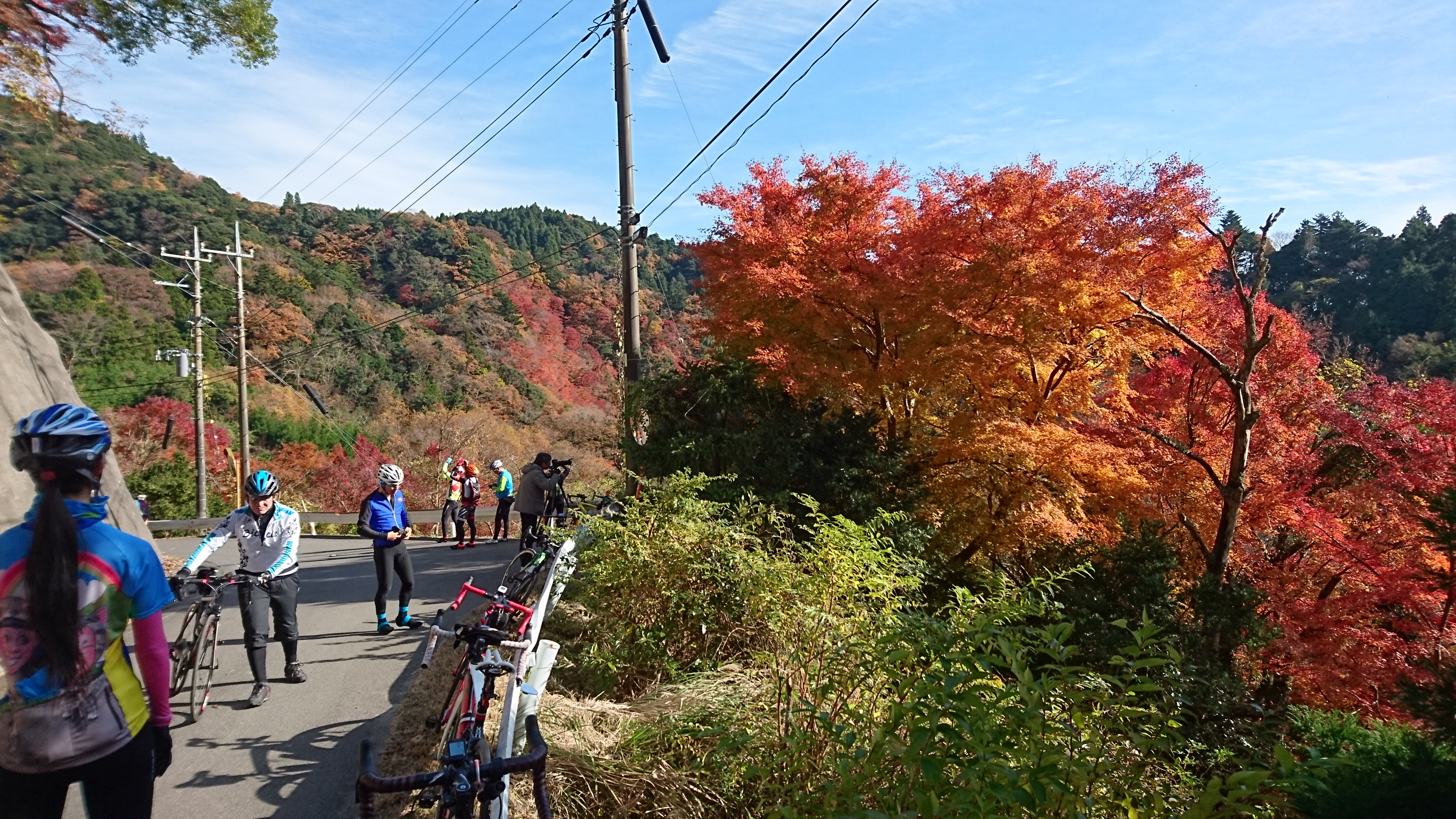 晩秋の燃えるような紅葉を見に行こう