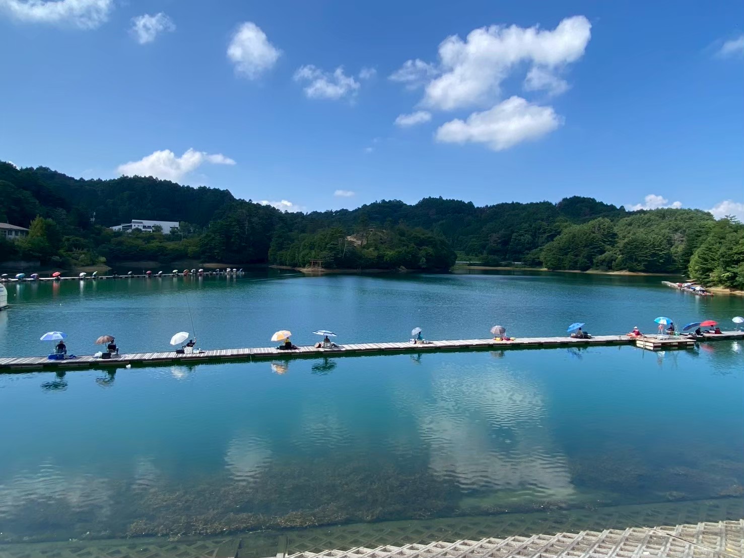 8月猛暑!美ケ原の涼をめざせ!