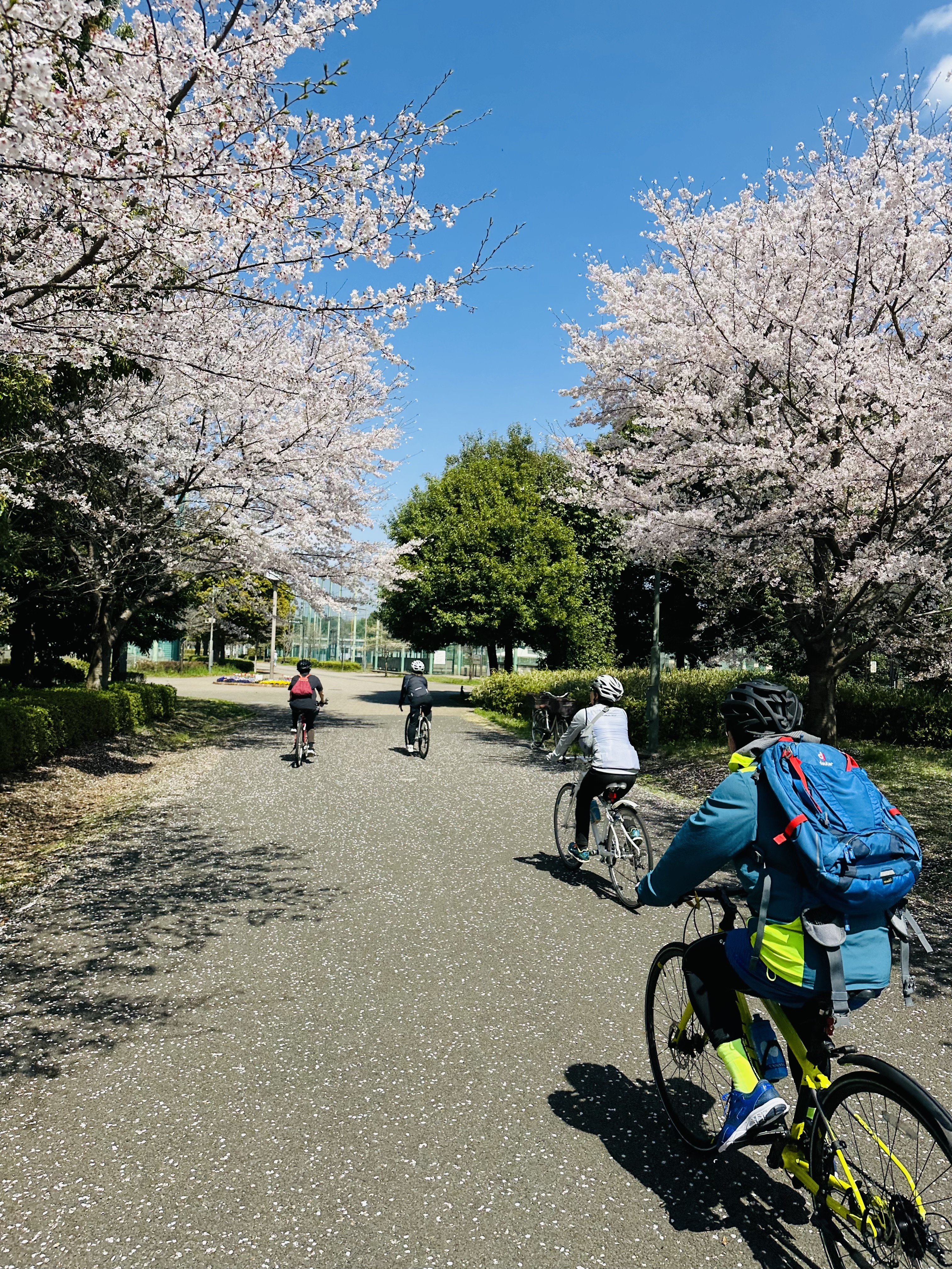 クロスバイクツアー【深大寺・調布飛行場】