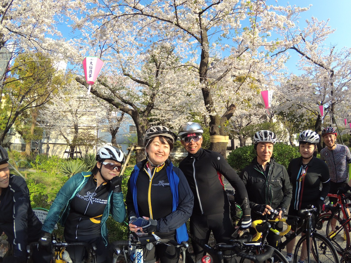 東京のお花見サイクリング
