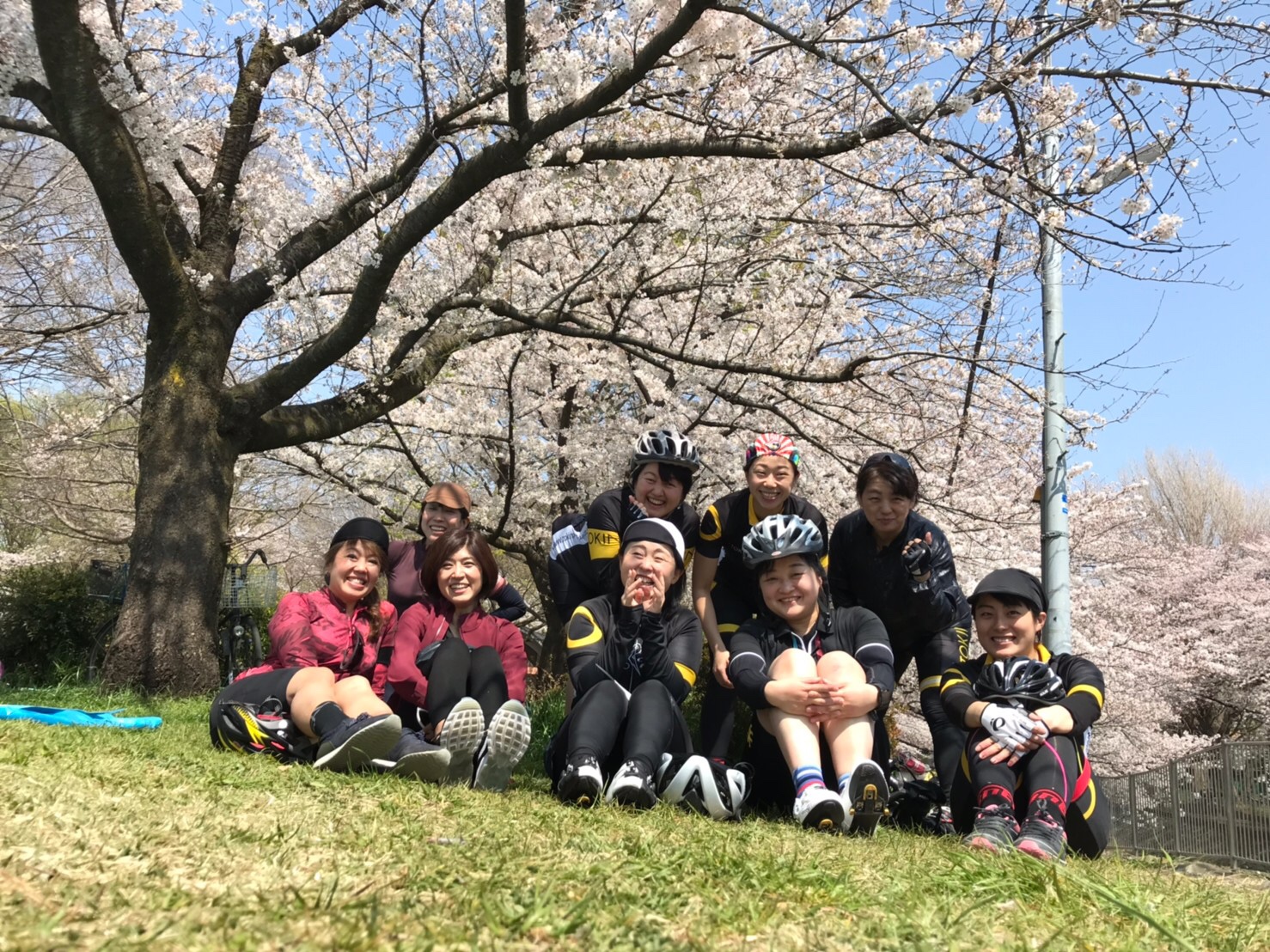 東京のお花見サイクリング