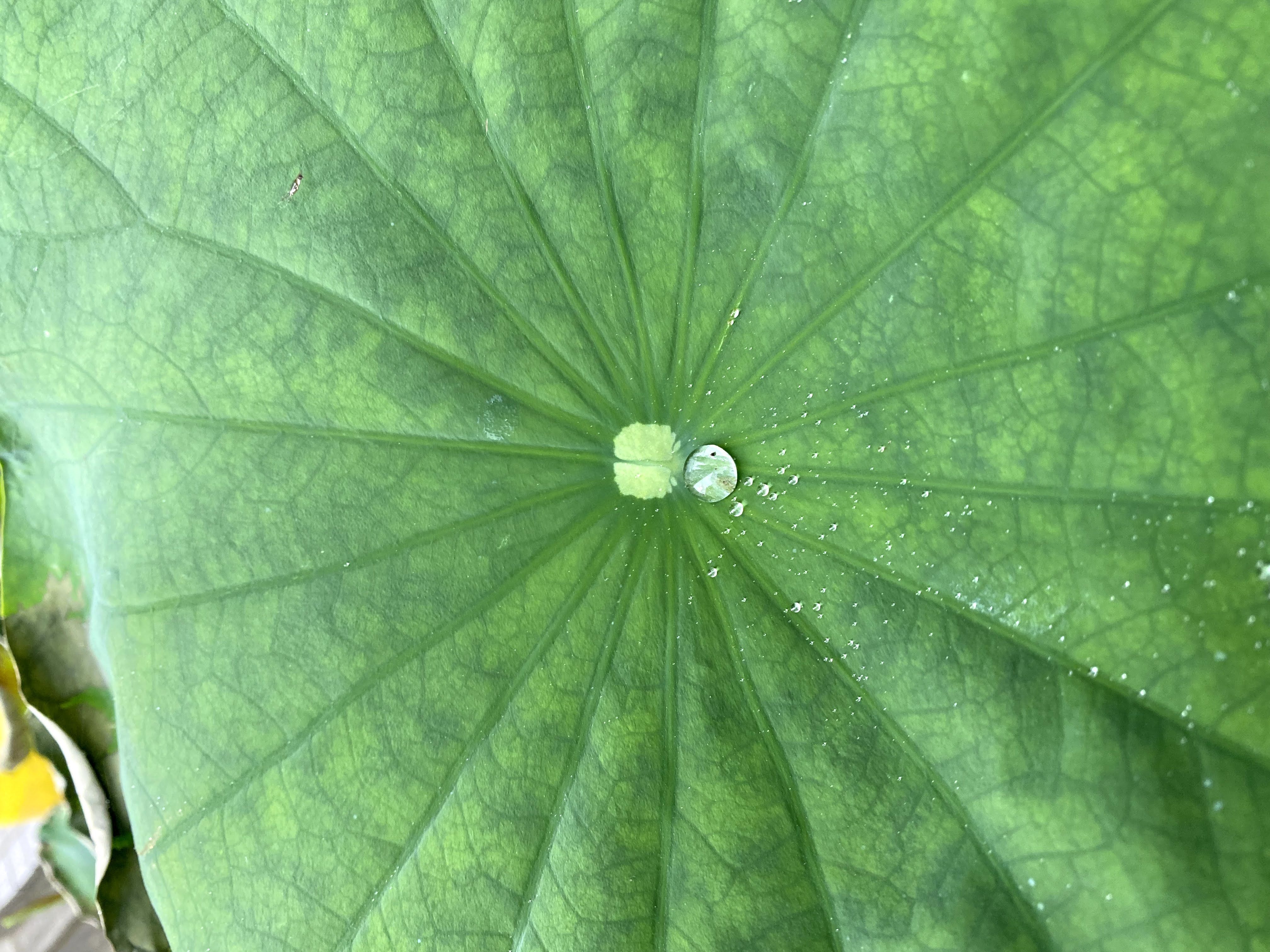 ”梅雨明け直前” Tokinoへgo！