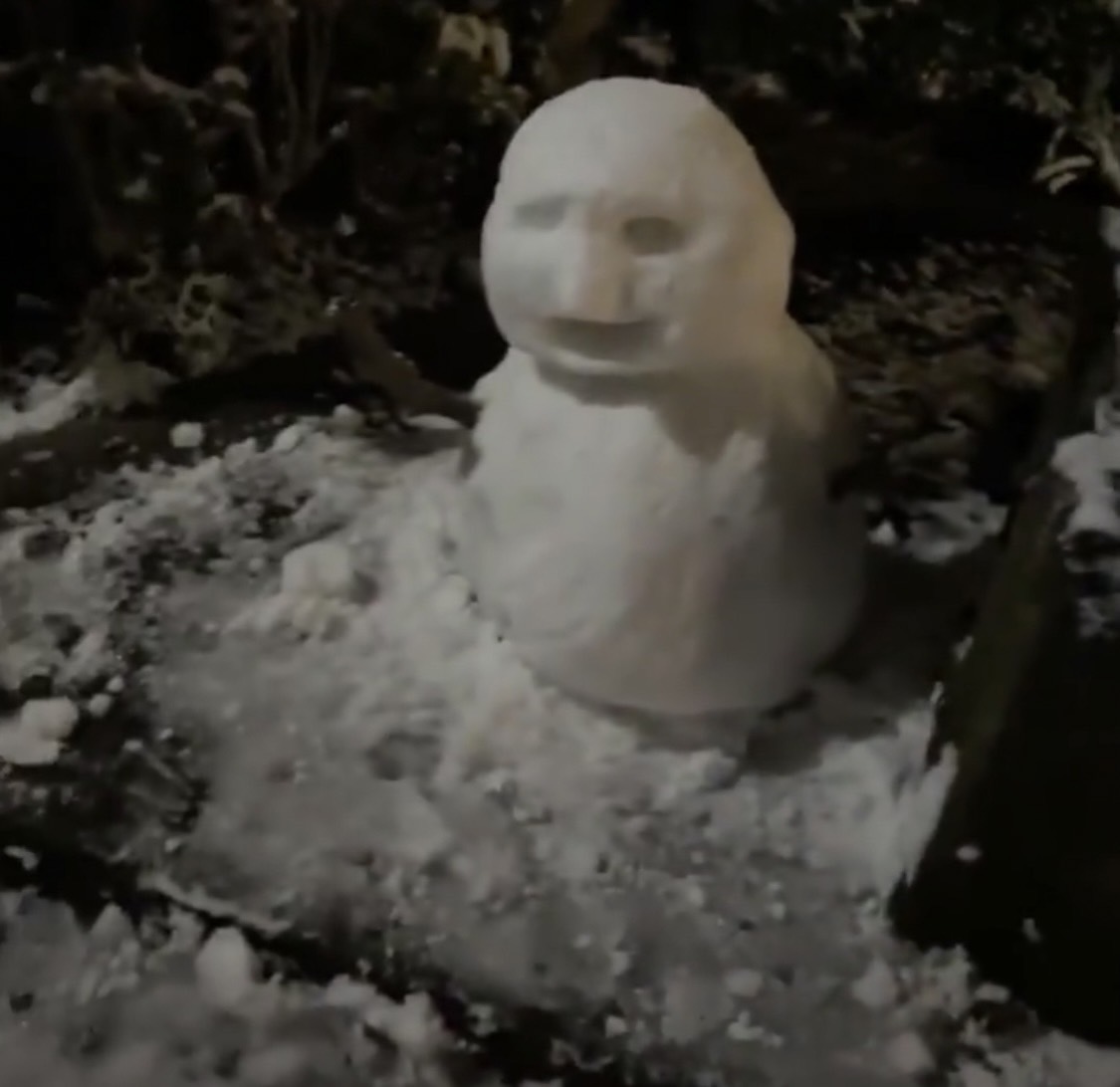 2022年 初雪☃❄