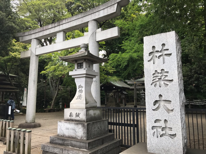 2020年はウォーキングで運を動かす!