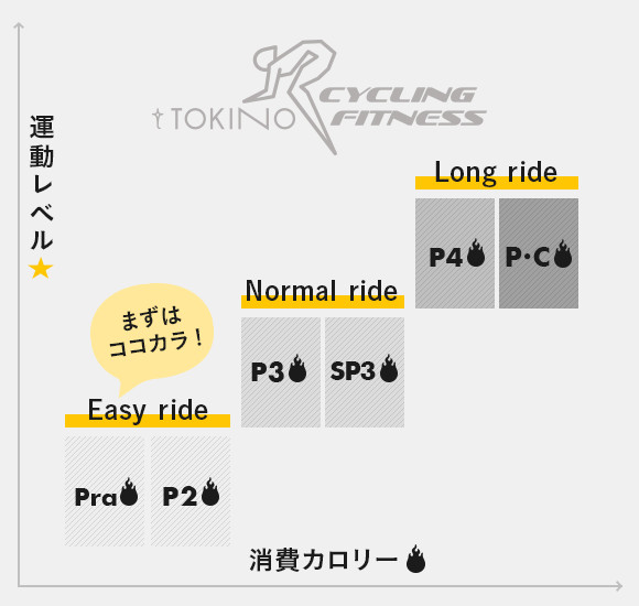 トレーニングレベル