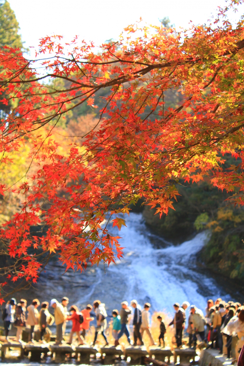晩秋の燃えるような紅葉を見に行こう