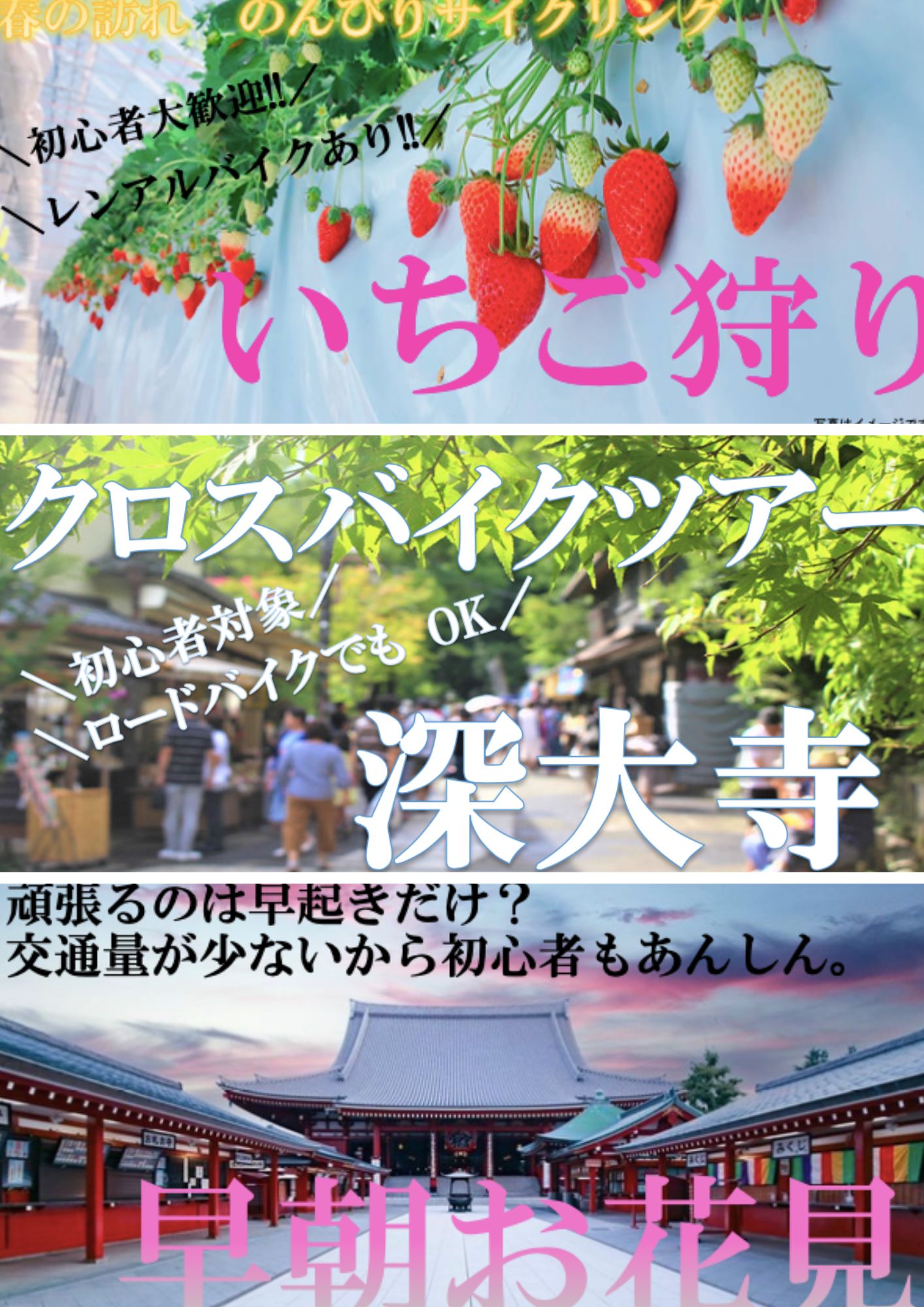 🚴‍♂️募集開始予定のサイクリングツアー🚴‍♀️