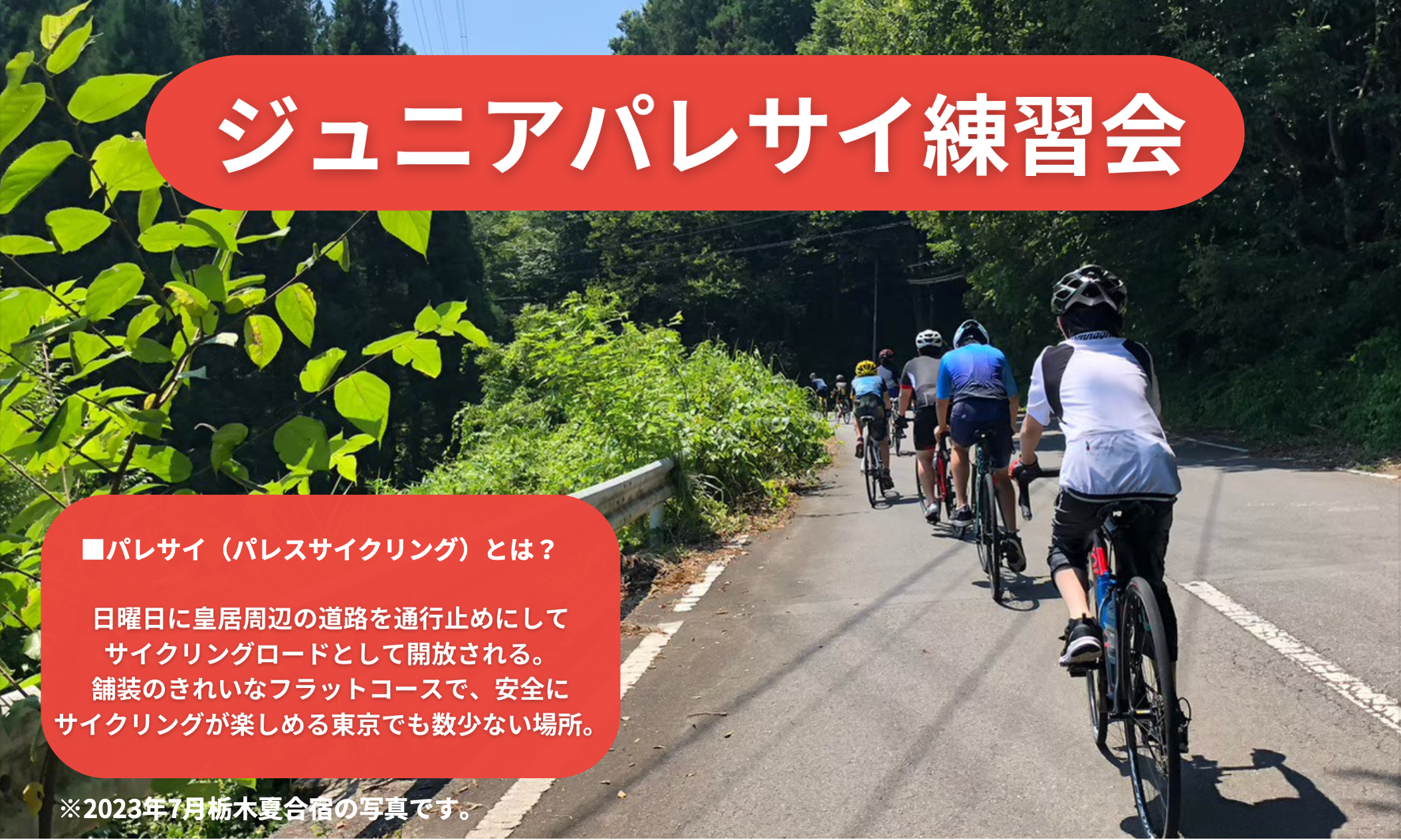 東京のサイクリングロードで安全なサイクリングを楽しもう！
