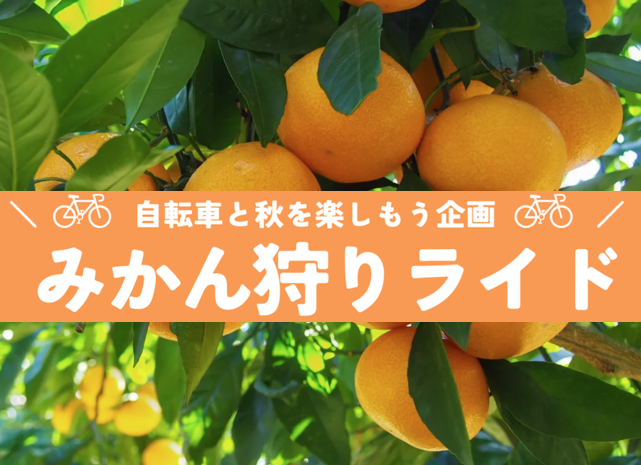 みかん狩りライド【東京都】