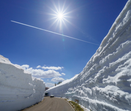 この時期しか見れない絶景がここに