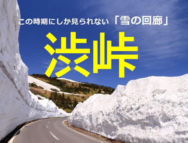 この時期しか見れない絶景がここに